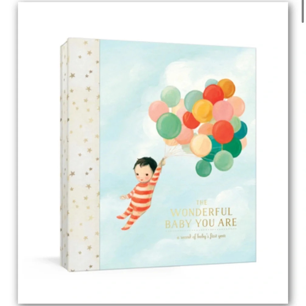The Wonderful Baby You Are: A Record of Baby's First Year - Diary - GOOD
